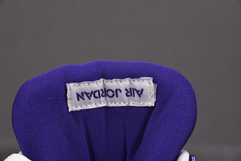 AIR JORDAN 4 “PURPLE METALLIC” CT8527-115