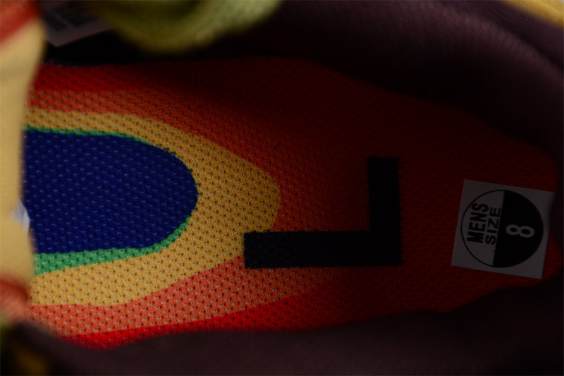 CPFM x Nike Dunk Low DM0430-700