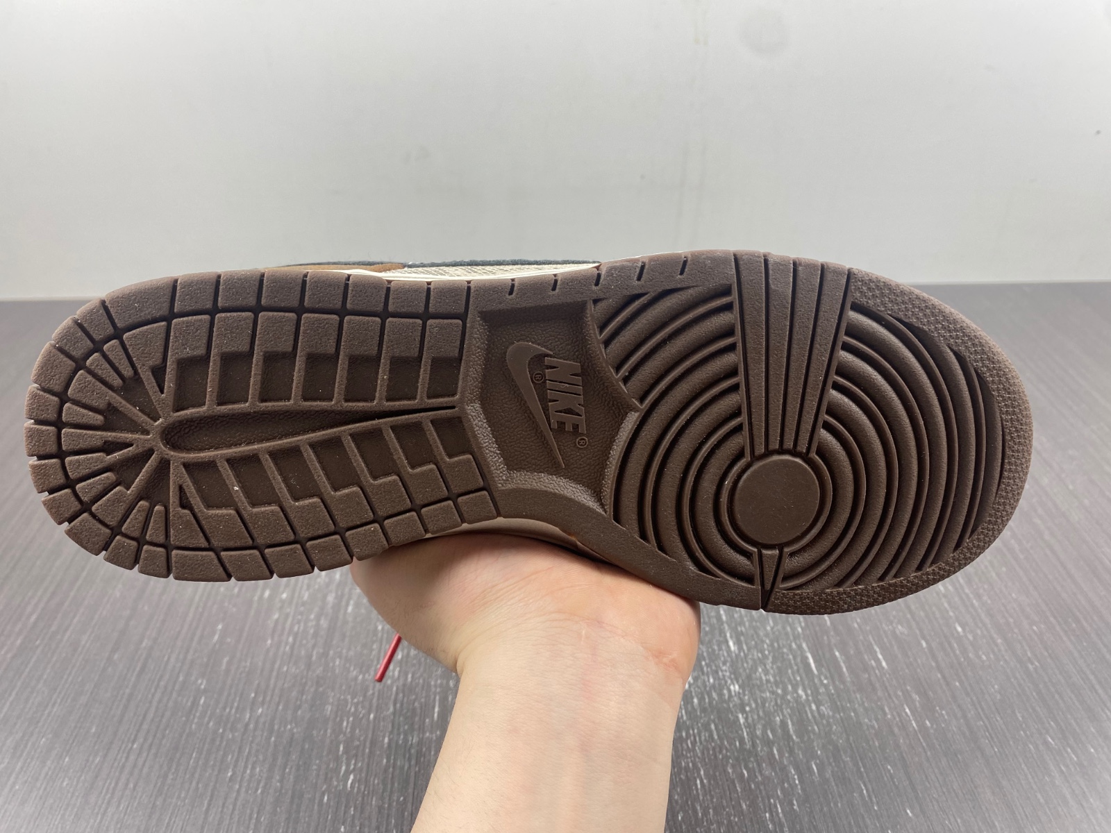 Nike Dunk Low CO.JP 2023 FJ5434-120