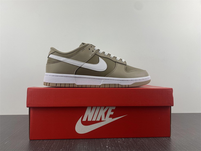 Nike Dunk Low Judge Grey DJ6188-200