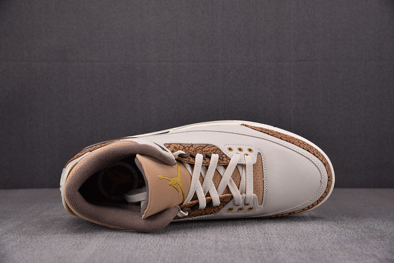 Air Jordan 3 "Palamino" CT8532-102