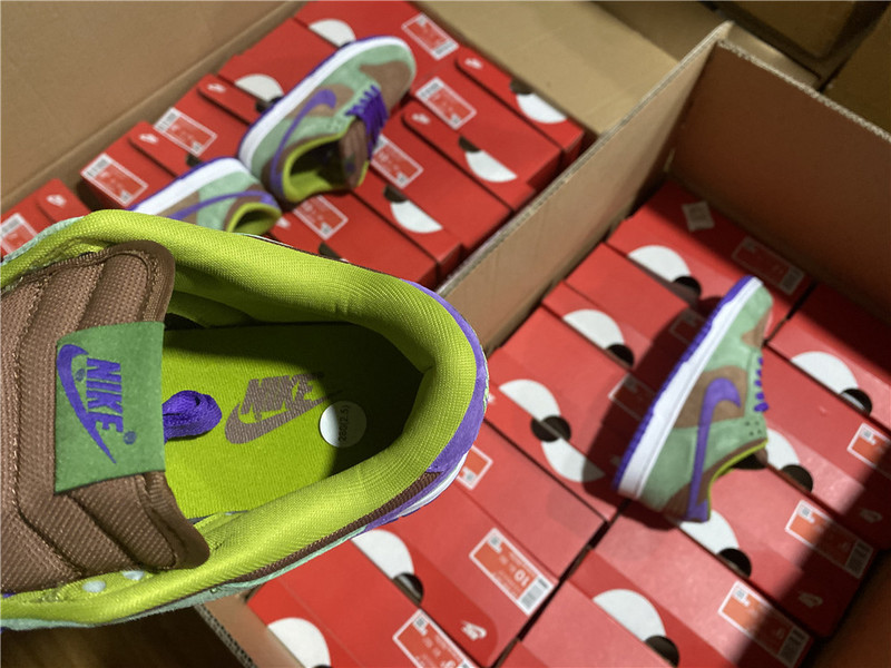 Nike Dunk Low Veneer DA1469-200