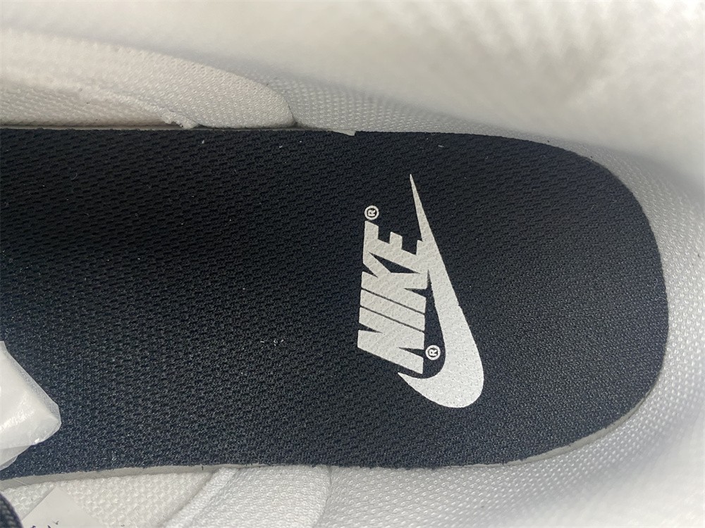 Nike Dunk Low Essential Paisley Pack Black DH4401-100