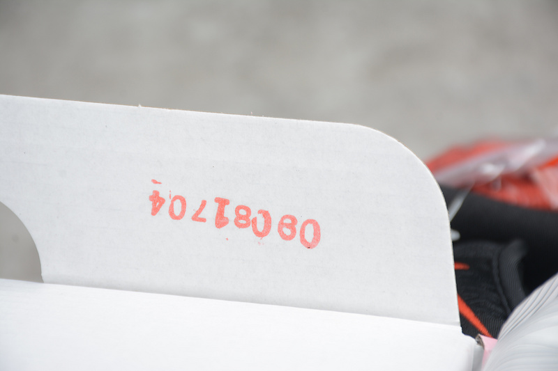 Nike Dunk Low SB TRD QS "Black Pigeon" - 883232 008