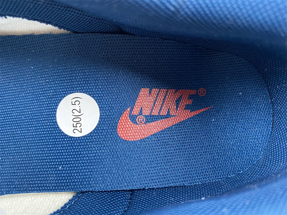 Nike Dunk Low Valerian Blue DD1391-400