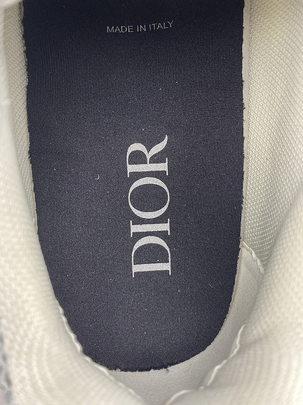 DIOR B22 SNEAKER
