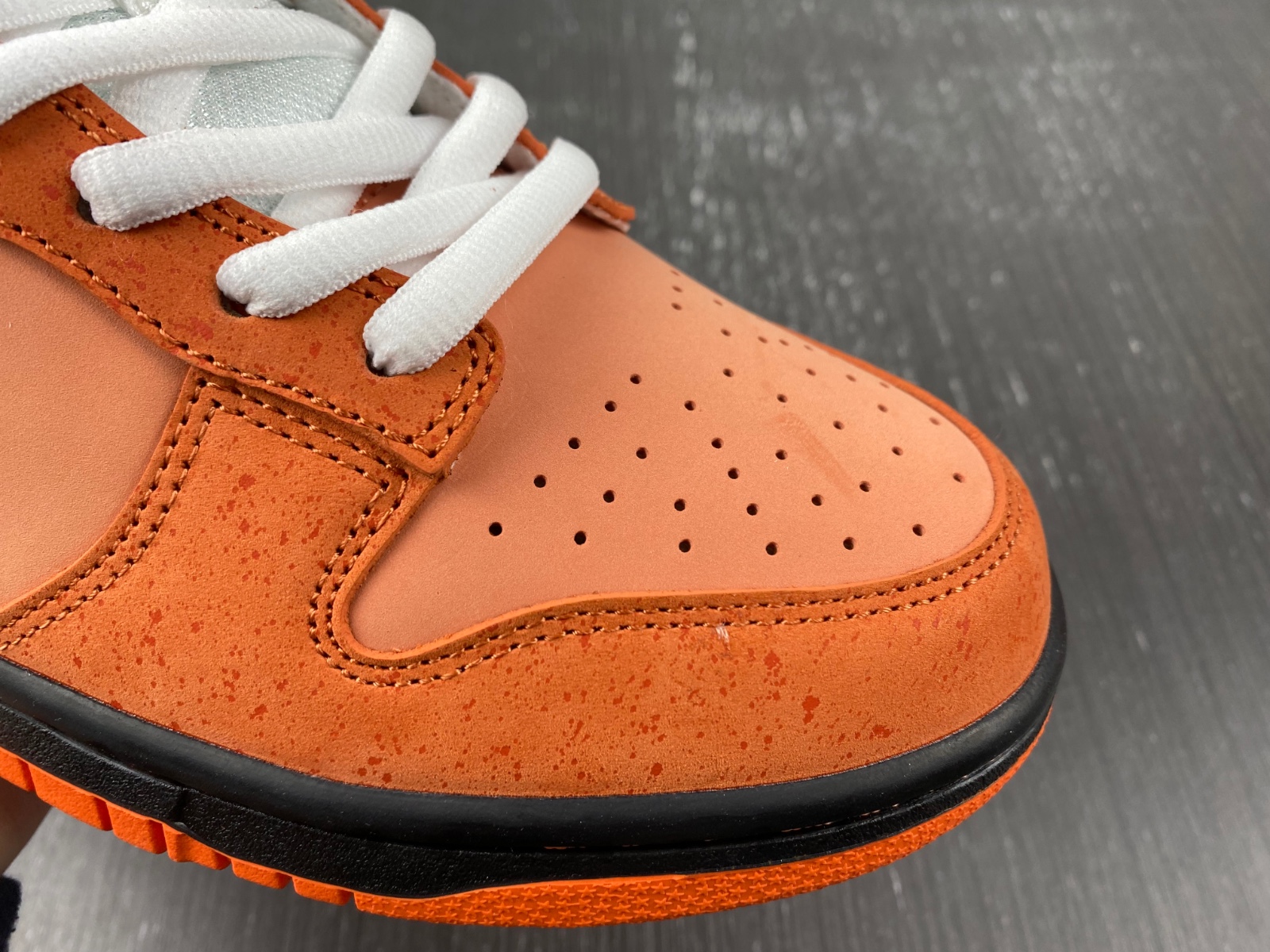 Concepts x Dunk Low SB 