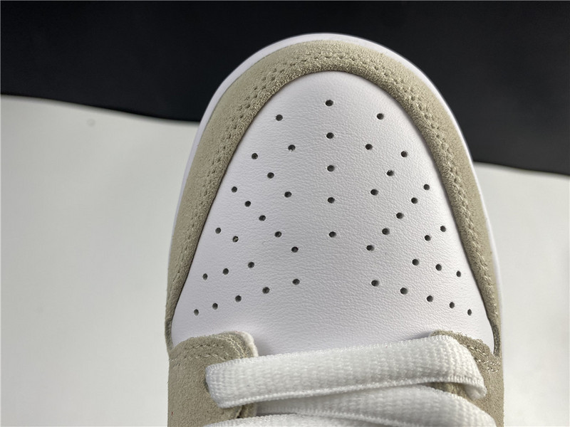 Nike Dunk Low Pro SB White/Varsity Crimson 304292-161