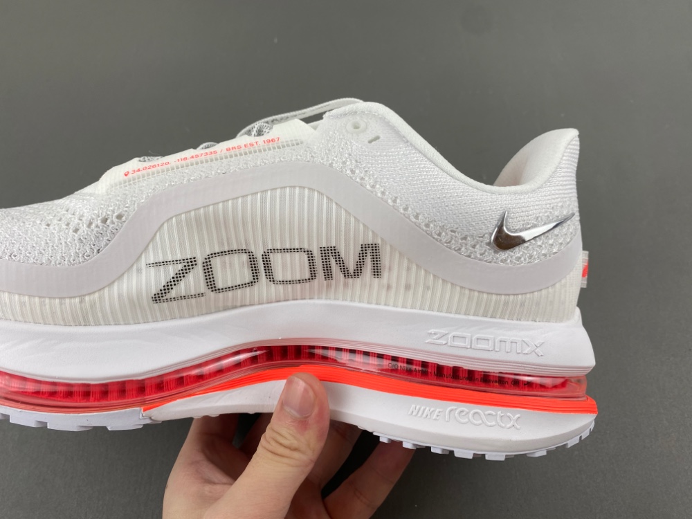 Nike Pegasus Premium Summit 