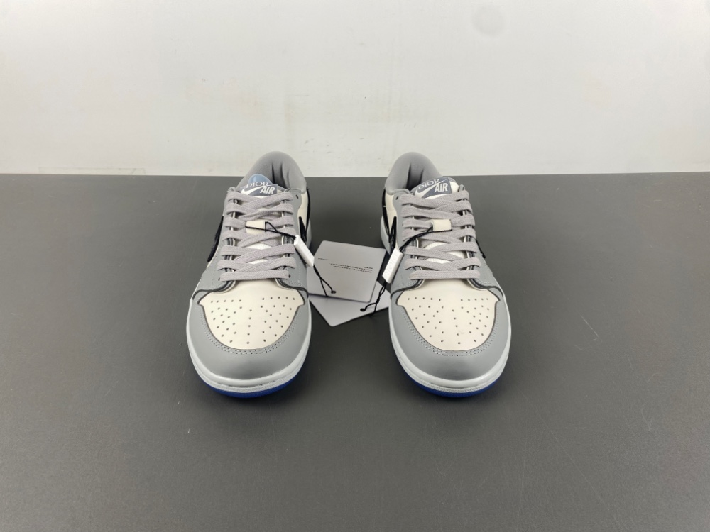 Dior x Air Jordan 1 Retro High Premium