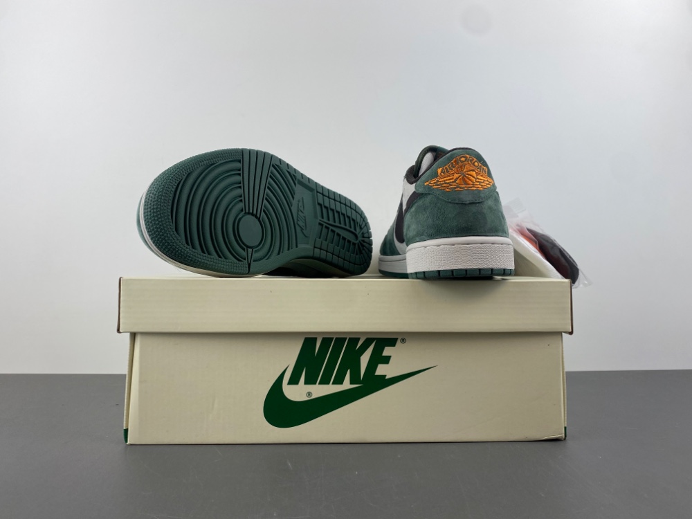 TS x Air Jordan AJ1 Low