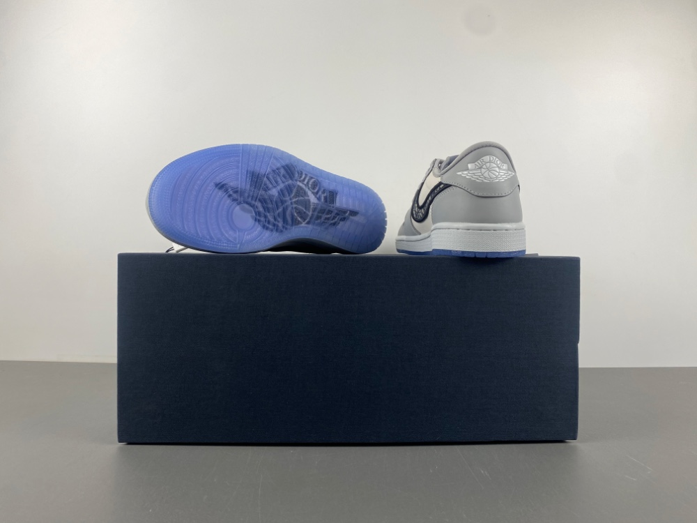 Dior x Air Jordan 1 Retro High Premium