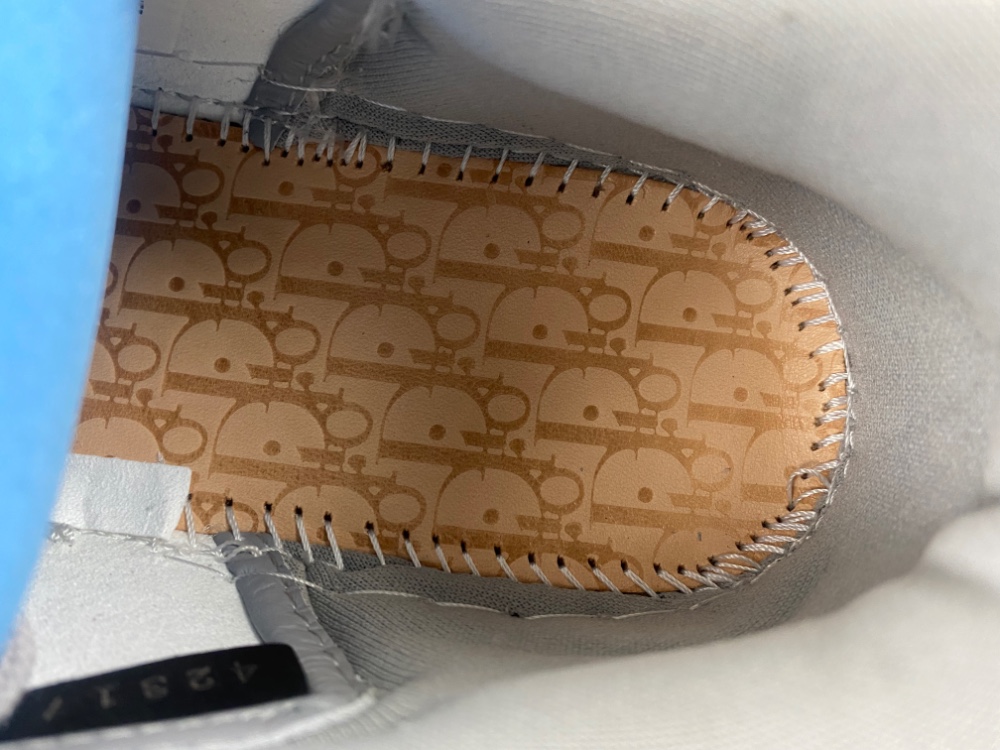 Dior x Air Jordan 1 Retro High Premium