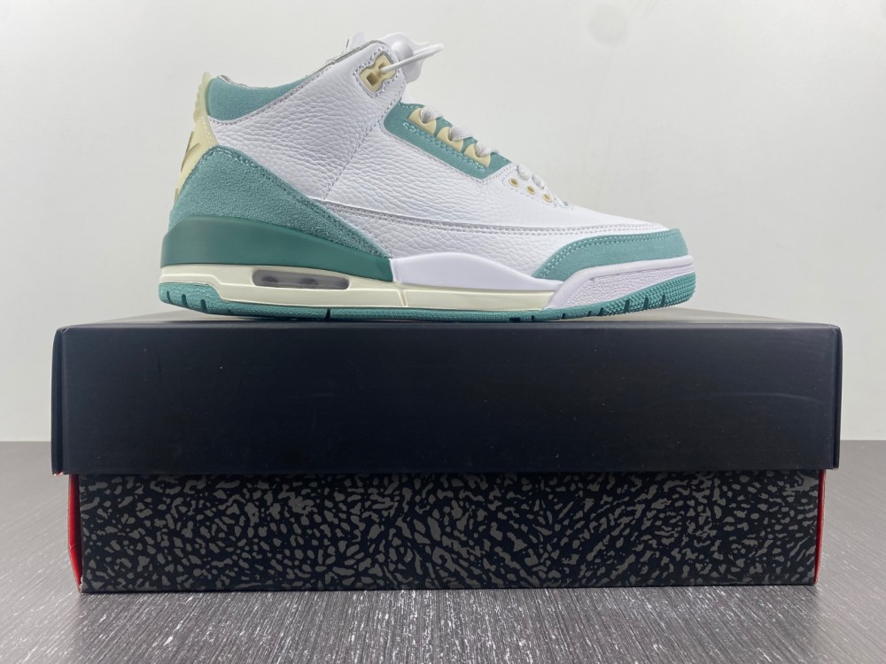 Air Jordan 3 DT8532-130