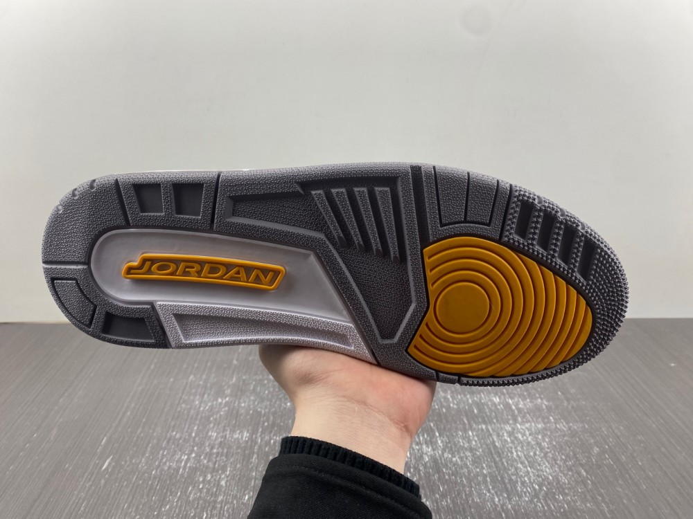 Air Jordan 3 DH3434-113