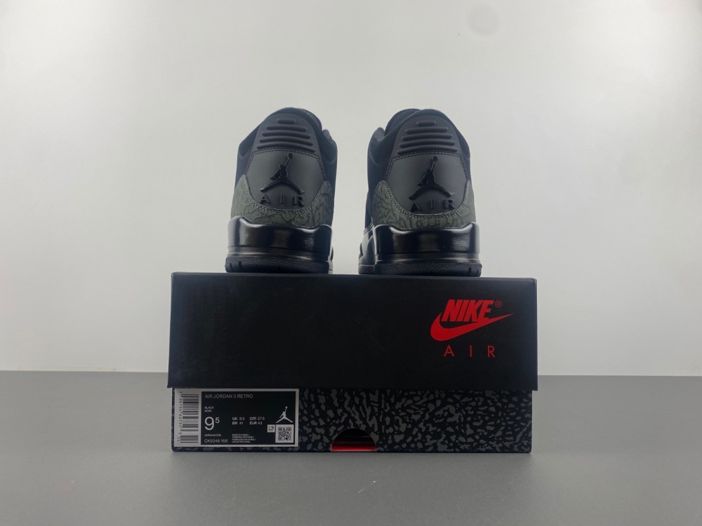 Air Jordan 3 CK9246-168