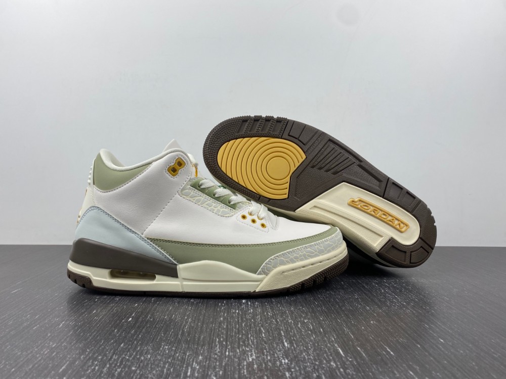 Air Jordan 3 DX6660-800