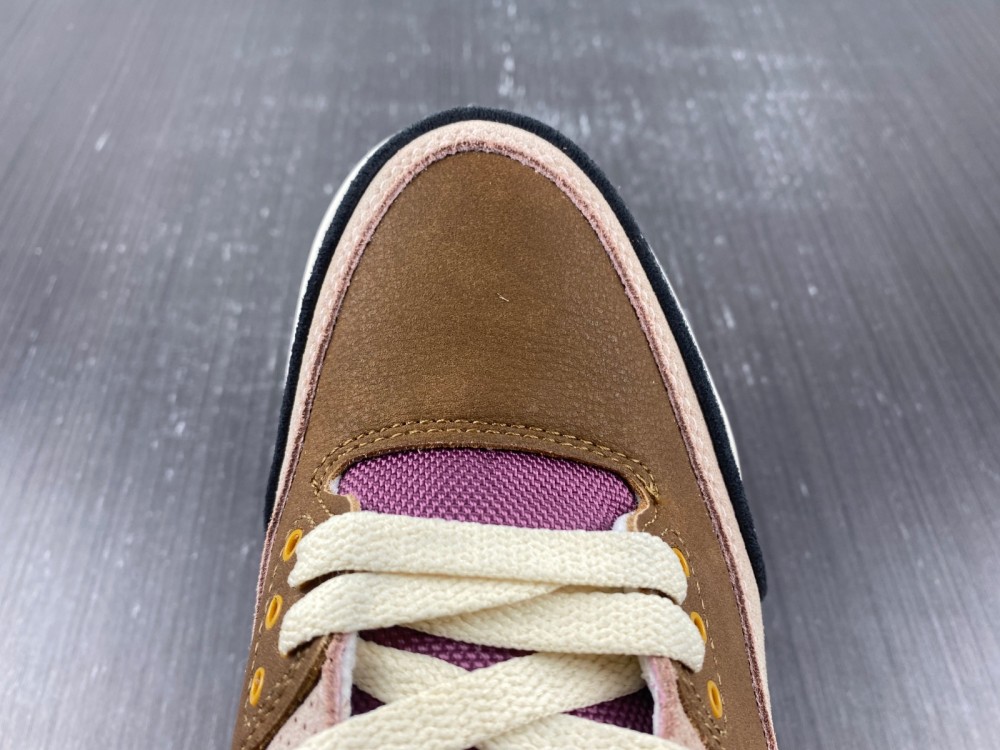 Air Jordan 3 Retro SE AJ3 DR8869-200