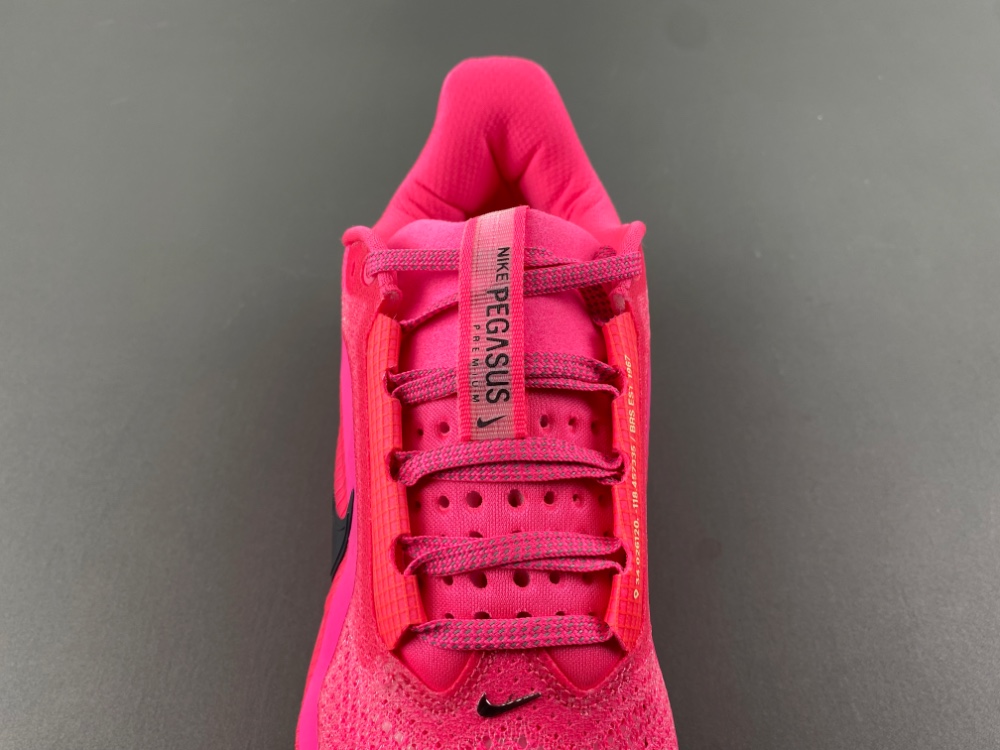 Nike Pegasus Premium    HQ2592-600