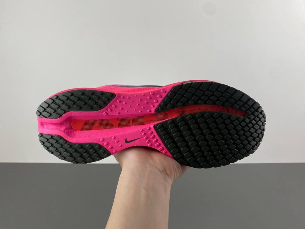 Nike Pegasus Premium    HQ2592-600