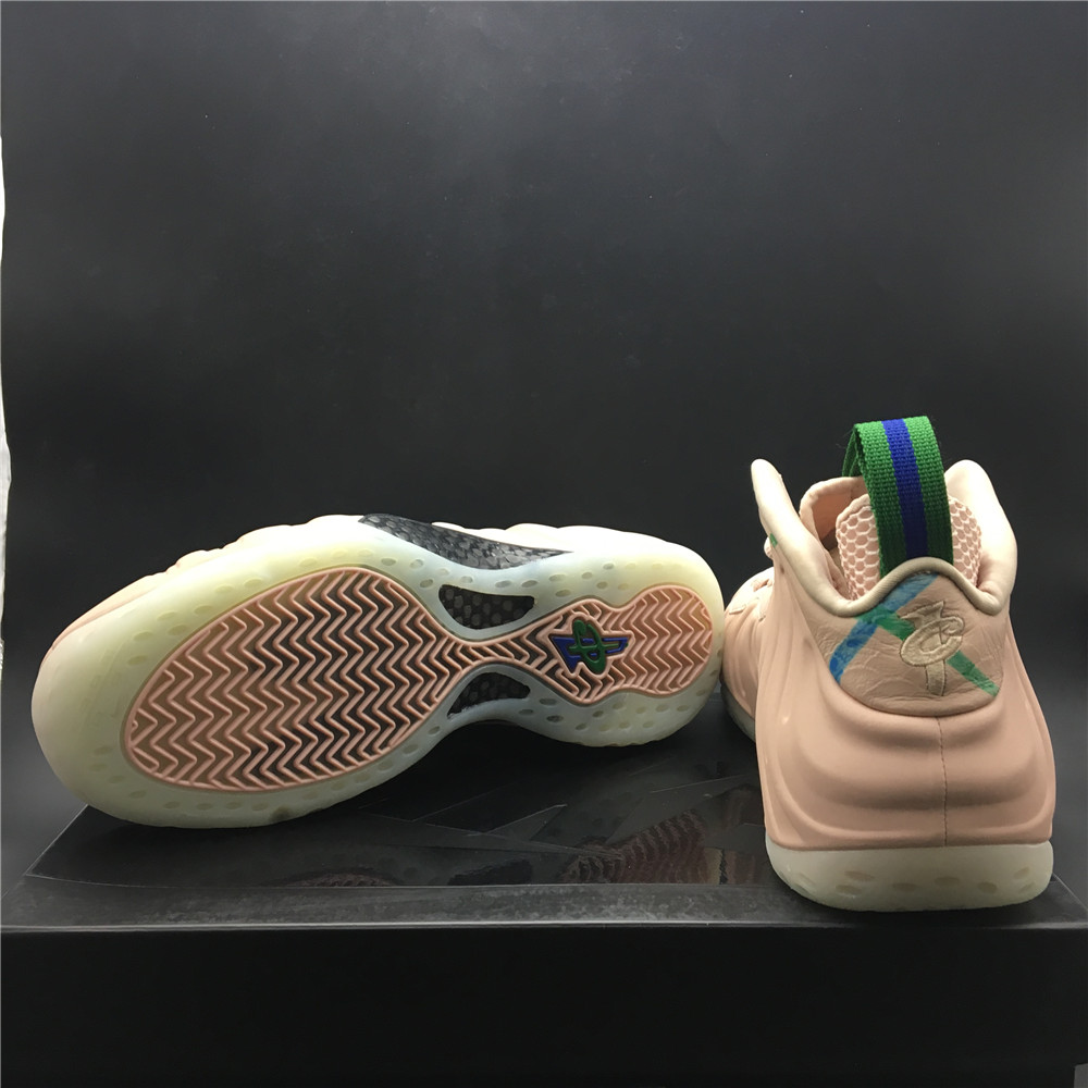 Nike Air Foamposite AA3963-200