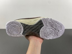 Titan x Air Jordan 23