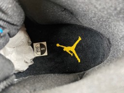 Air Jordan 11 “Gamma”