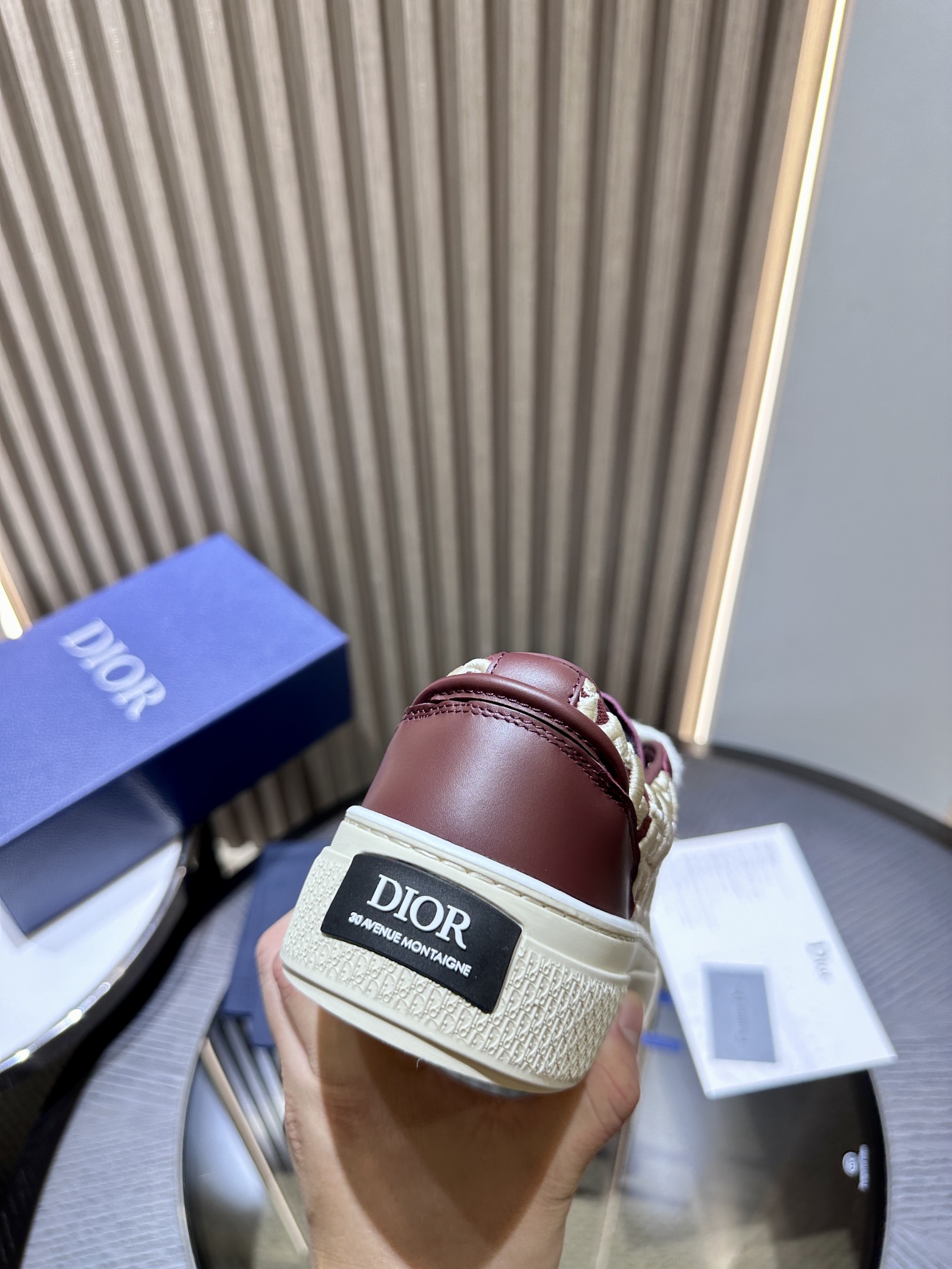 DIOR B33 SNEAKER