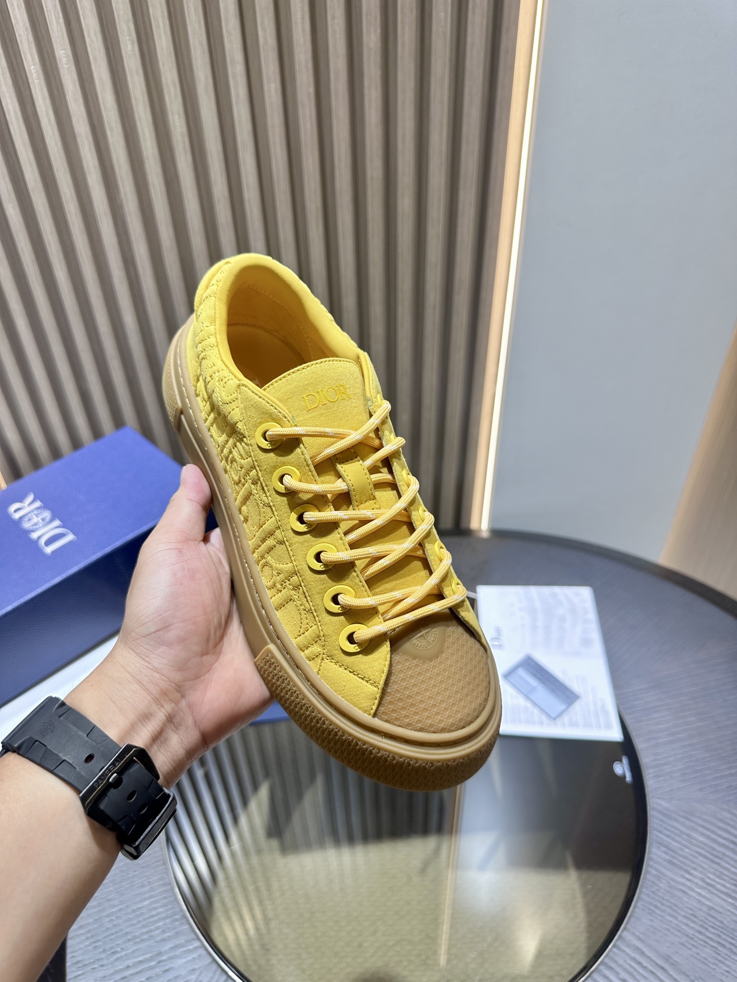DIOR B33 SNEAKER