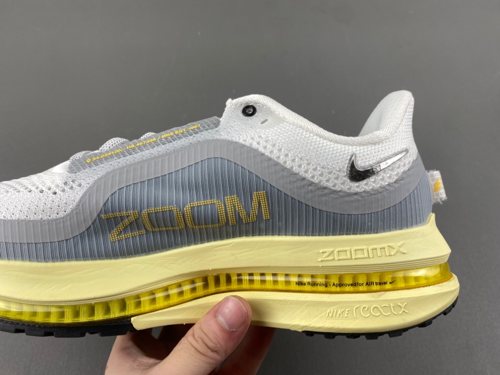 Nike Pegasus Premium