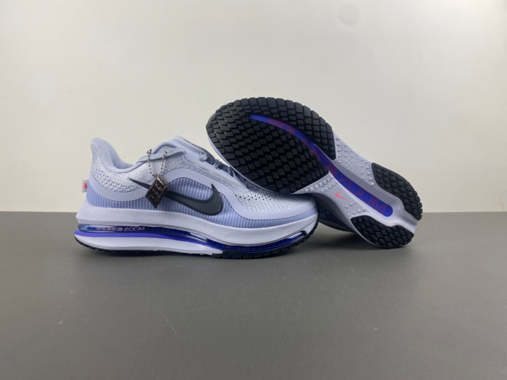 Nike Pegasus Premium 