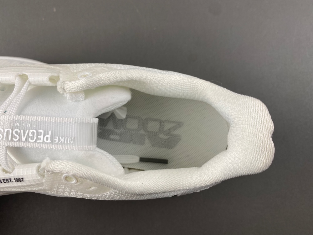 Nike Pegasus Premium