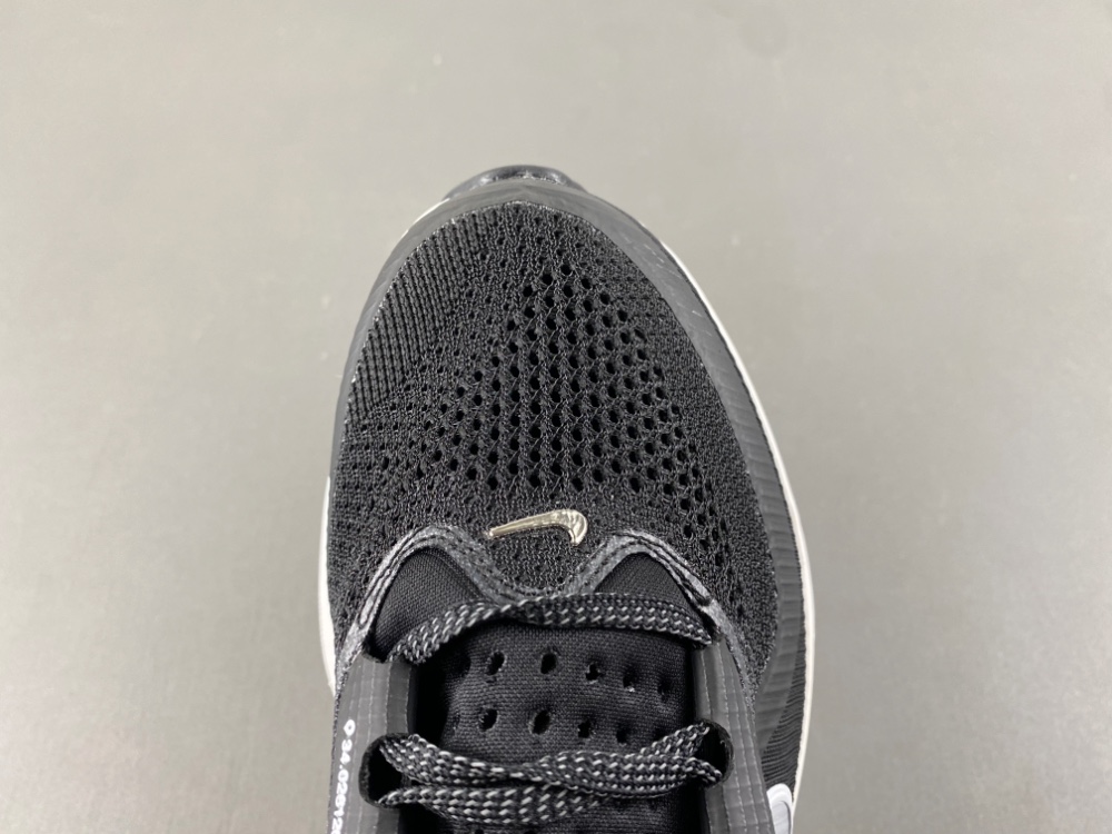 Nike Pegasus Premium