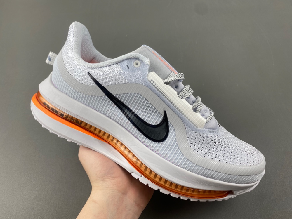 Nike Pegasus Premium HQ2593-004