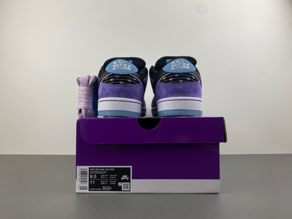 Hayley Wilson x Nike SB Dunk Low HJ0513-500