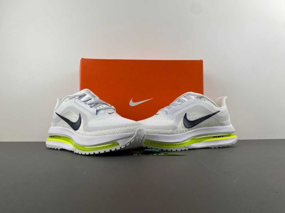 Nike Pegasus Premium HQ2592-100