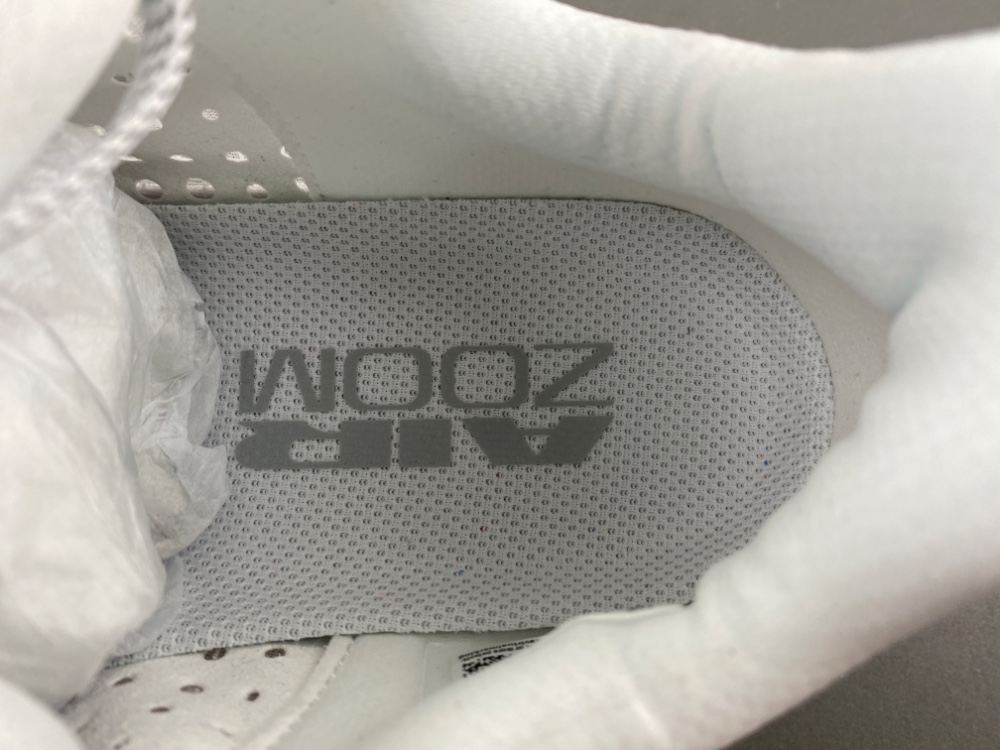 Nike Pegasus Premium “White”HQ2592-102