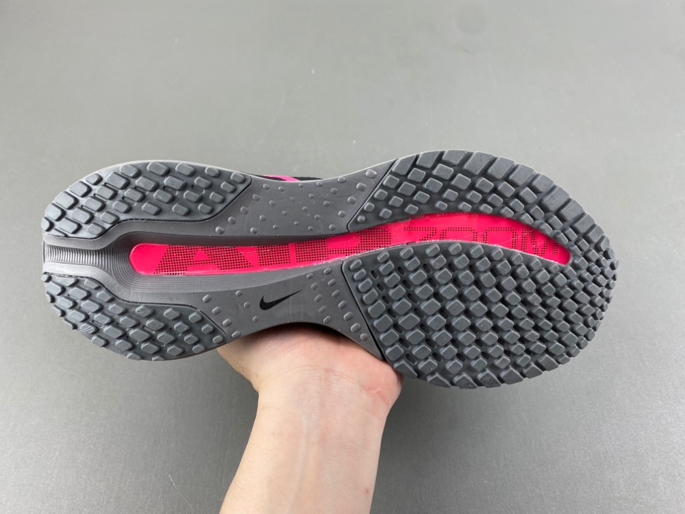 Nike Pegasus Premium