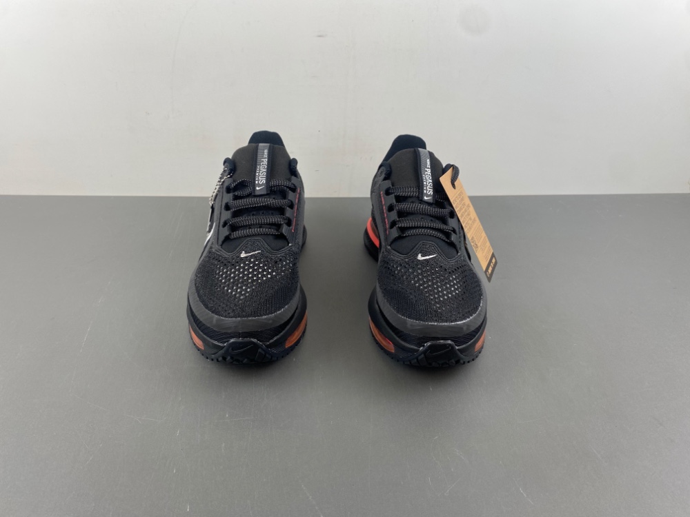 Nike Pegasus Premium HQ2593-003