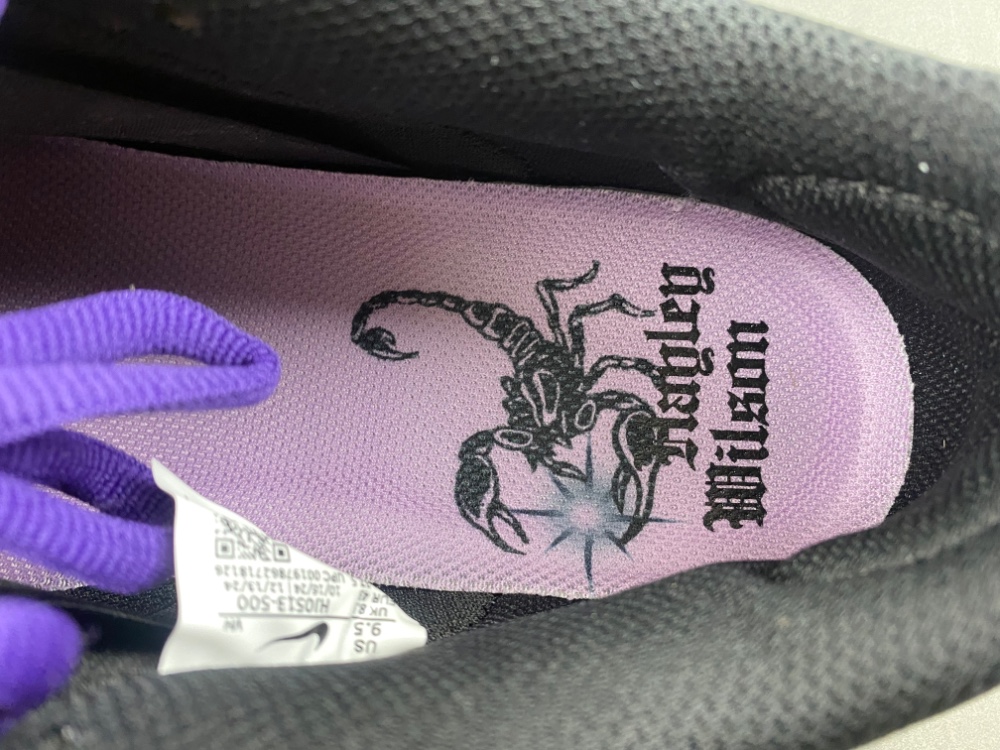 Hayley Wilson x Nike SB Dunk Low HJ0513-500