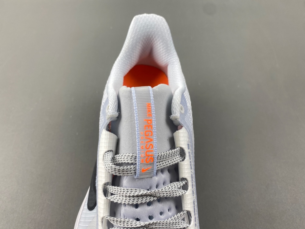 Nike Pegasus Premium HQ2593-004