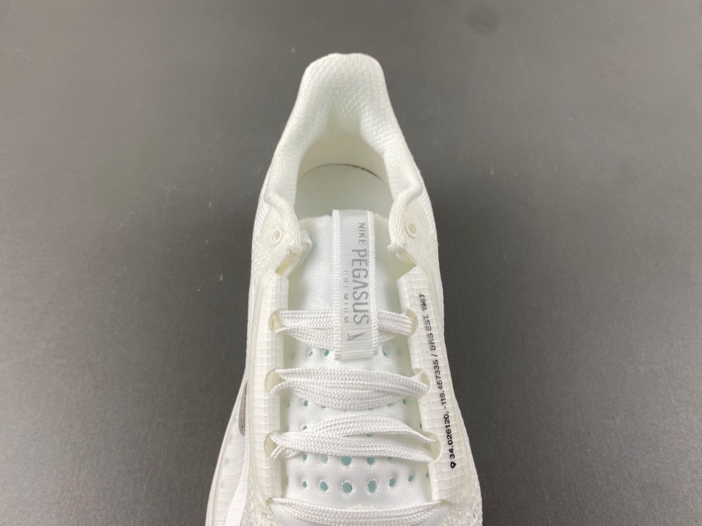 Nike Pegasus Premium