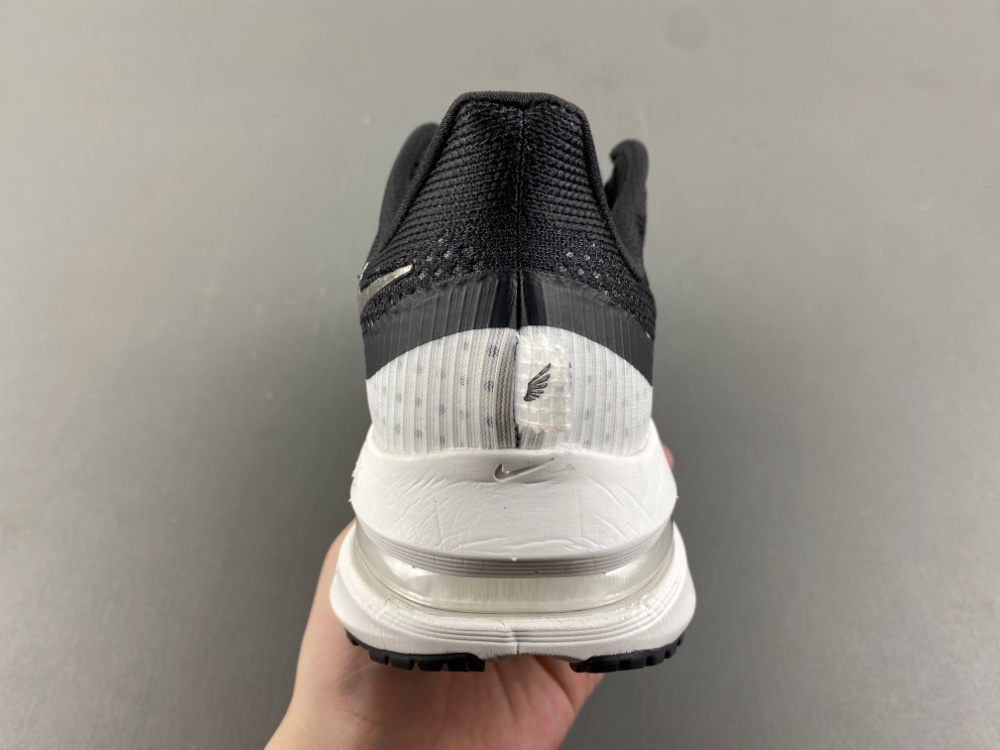 Nike Pegasus Premium