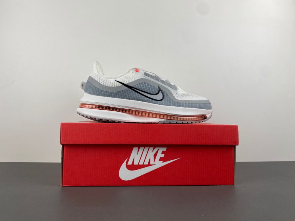 Nike Pegasus Premium