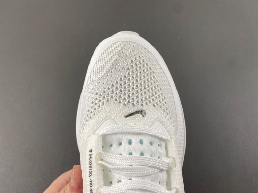 Nike Pegasus Premium