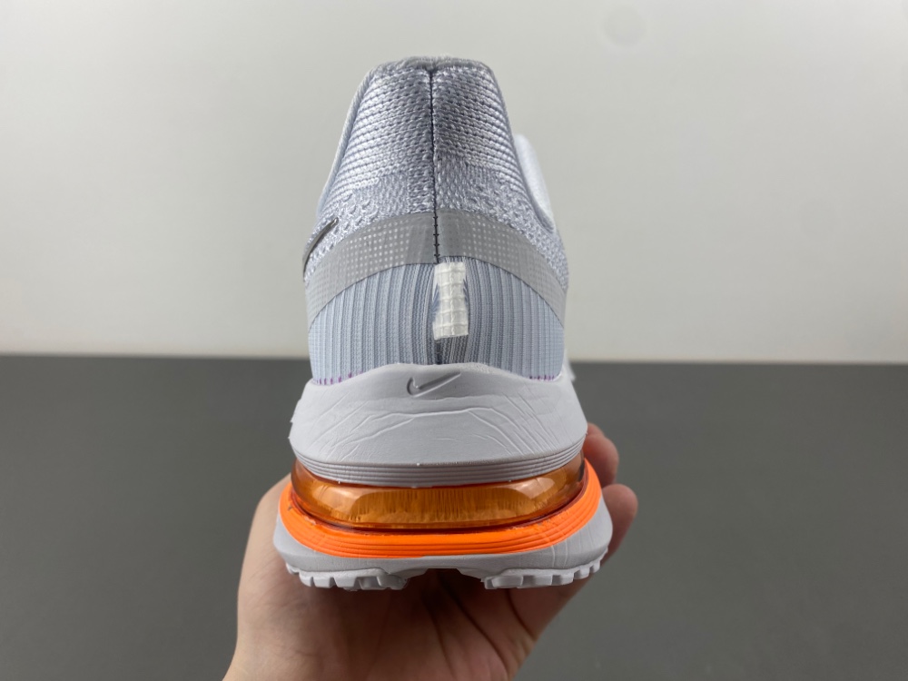 Nike Pegasus Premium HQ2593-004