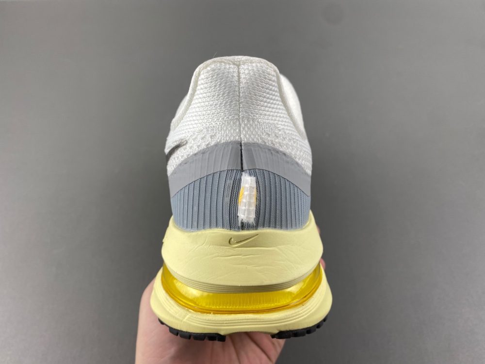 Nike Pegasus Premium