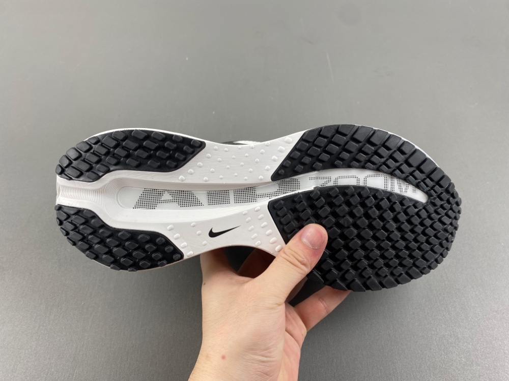 Nike Pegasus Premium