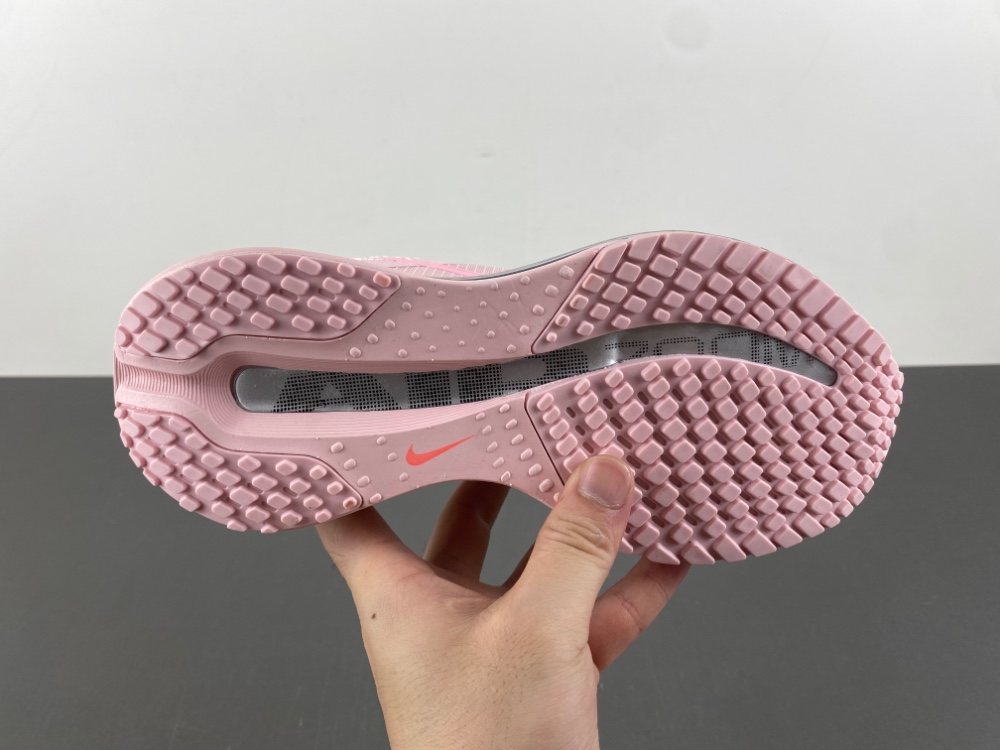 Nike Pegasus Premium