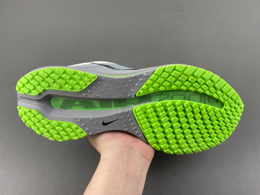 Nike Pegasus Premium